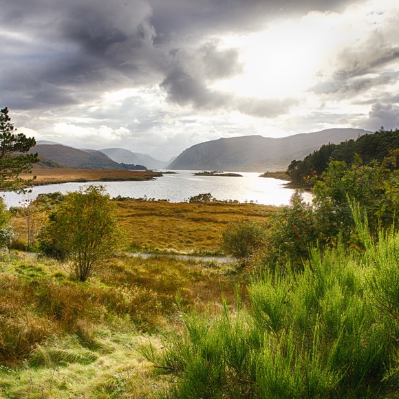 Meet your Posher, Mellissa - Picture 8 of 8